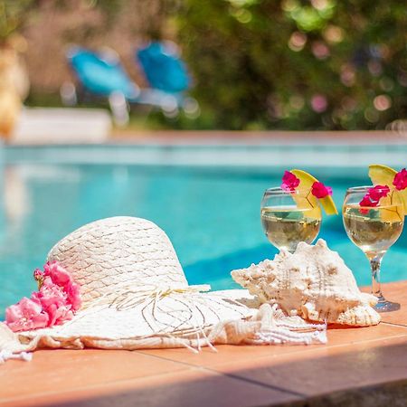 Olive Farm Villa Agia Marina  ภายนอก รูปภาพ