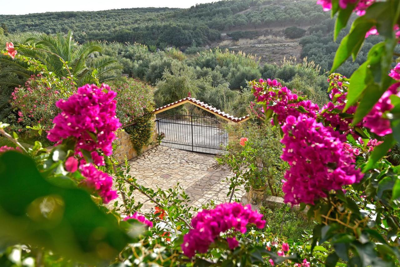 Olive Farm Villa Agia Marina  ภายนอก รูปภาพ