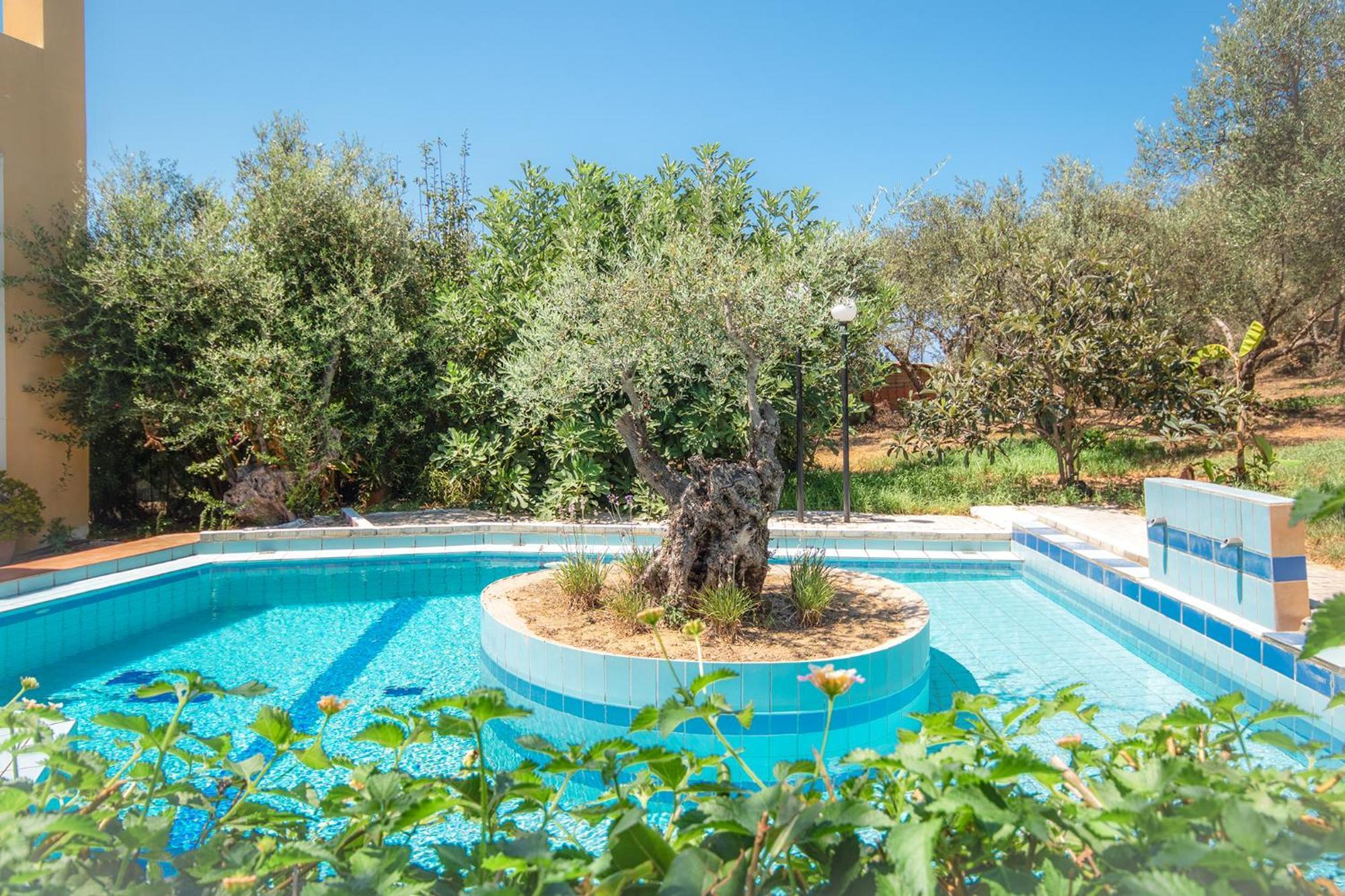 Olive Farm Villa Agia Marina  ภายนอก รูปภาพ
