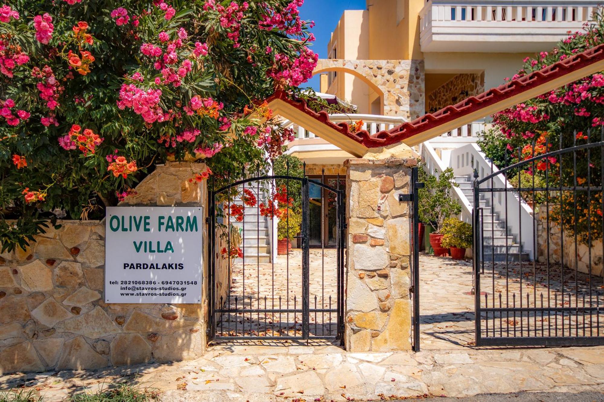 Olive Farm Villa Agia Marina  ภายนอก รูปภาพ
